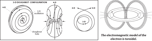 ophan24